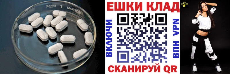 Купить закладки  Ленск  ЭКСТАЗИ Punisher 