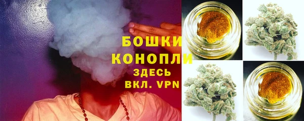 амф Белокуриха